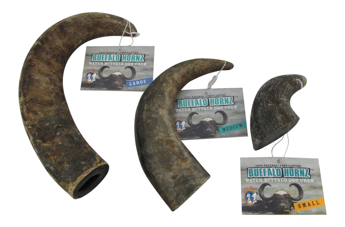 Water Buffalo Horn- The Everyman's Antler