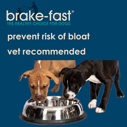 Brake-Fast Non-Tip Stainless Steel Slow Feed Dog Bowl