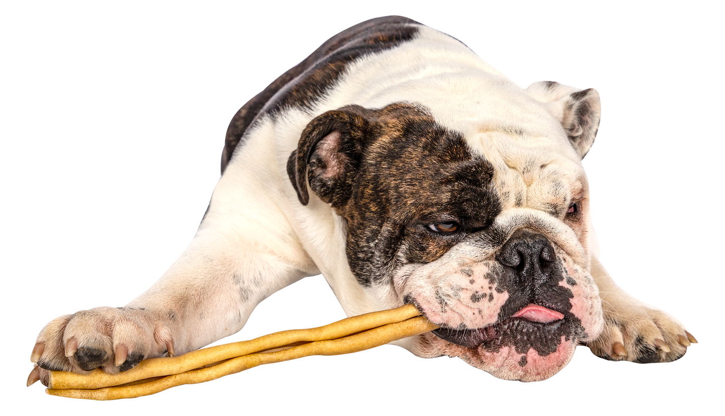 COLGN Stik 12" - Banded