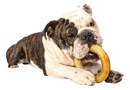 COLGN Ring 4" - Pouch