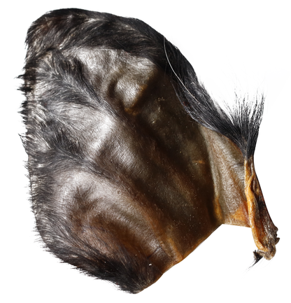 Water Buffalo Hearz - Hairy Ears 10pack bag!