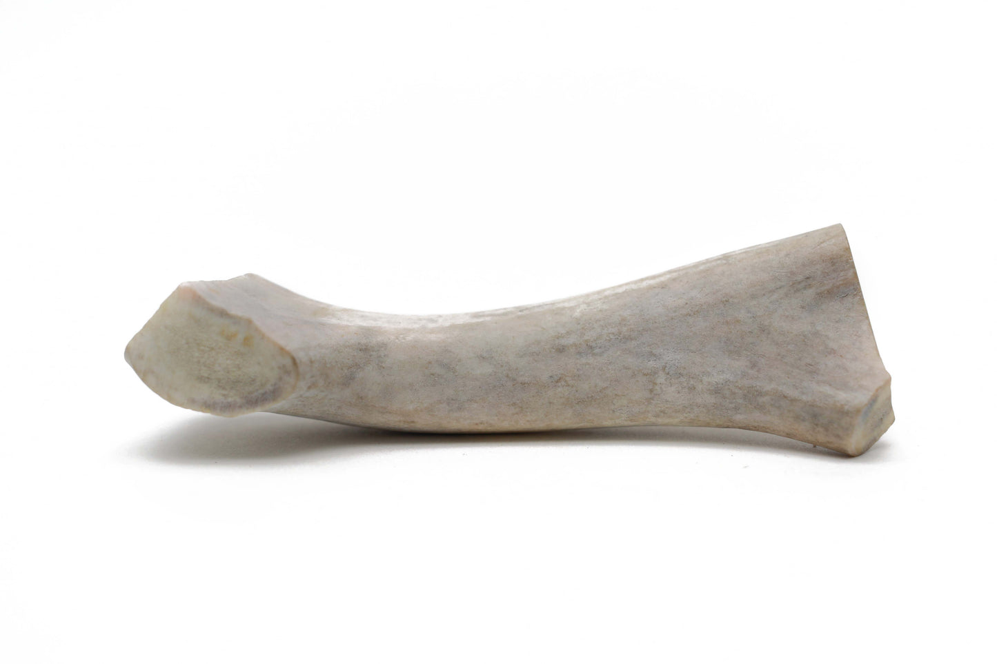 Antlers - All-Natural USA Made Dog Chews