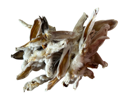 Rabbit Ears - 10pk Retail Pouch