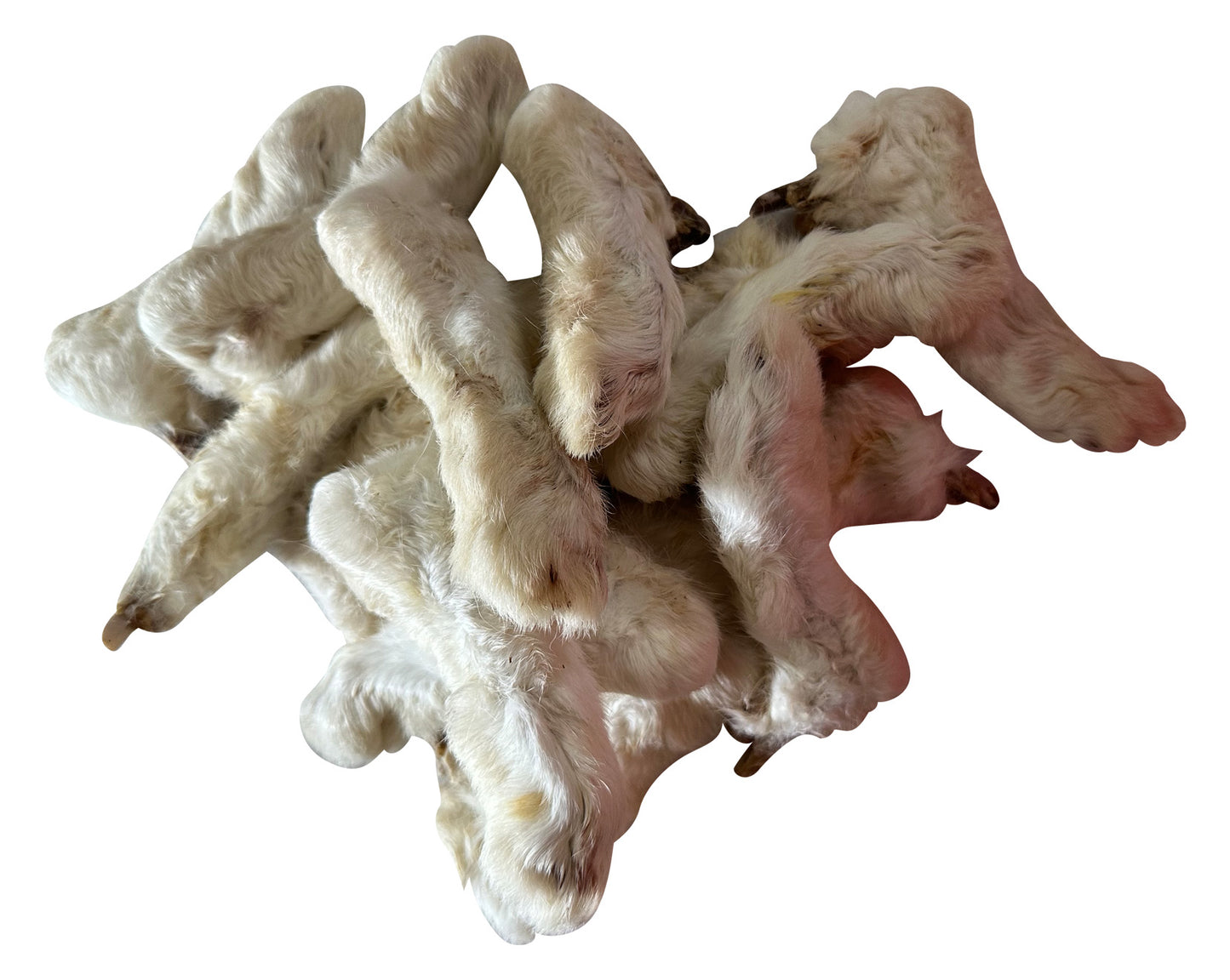 Rabbit Feet - 10pk Retail Pouch