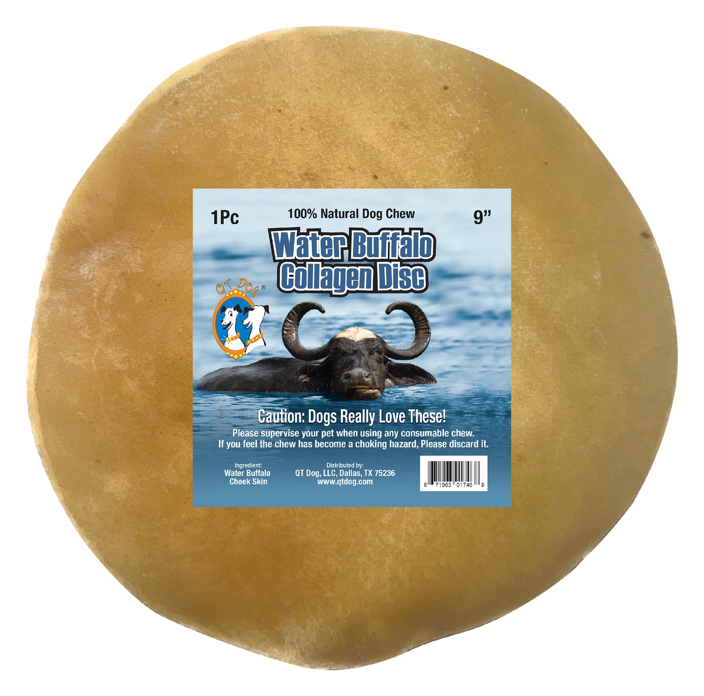 COLGN Disc 9"