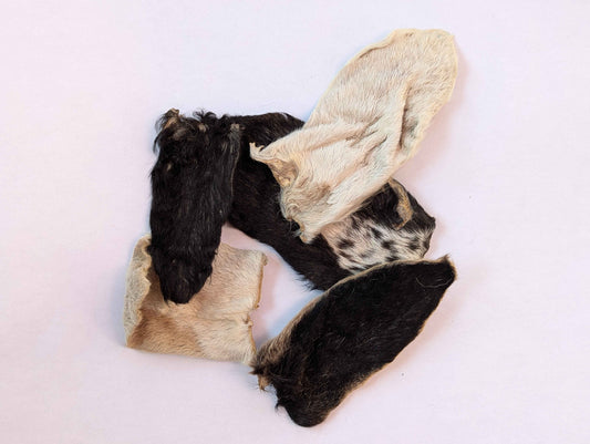 Goat Hearz - Hairy Goat Ears - 10 pack