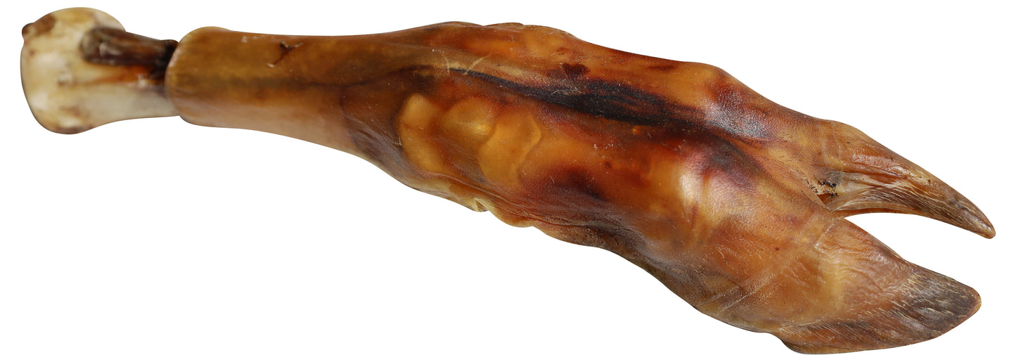 Water Buffalo Shin Bone/ Trotters