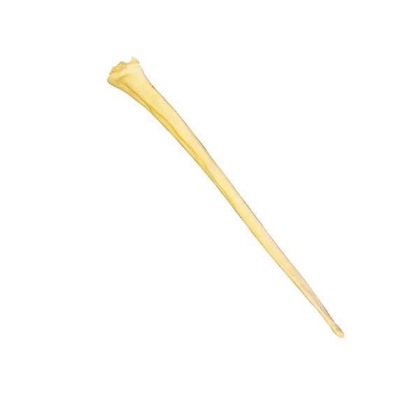 Mossy Oak Water Buffalo Full Tail Dog Chew