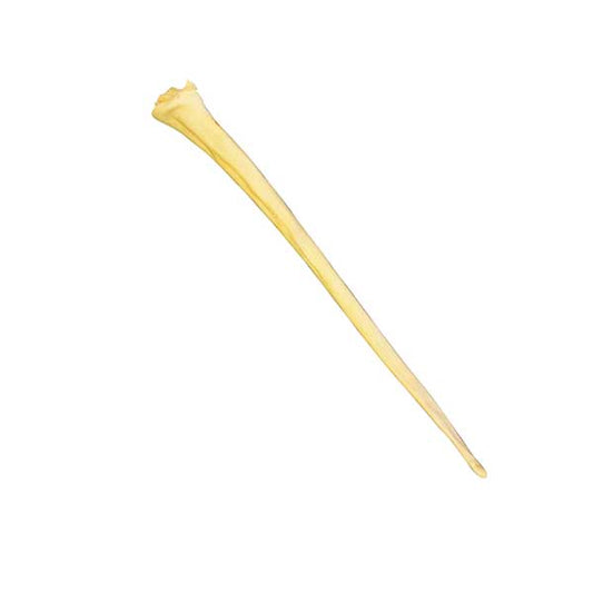 Mossy Oak Water Buffalo Full Tail Dog Chew