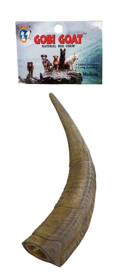 Gobi Goat Horn