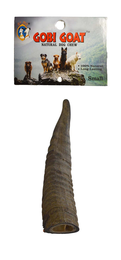Gobi Goat Horn
