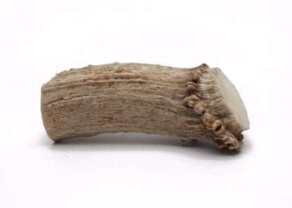Antlers - All-Natural USA Made Dog Chews