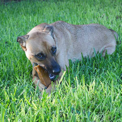 Churpi Chew - Natural Himalayan Yak Cheese